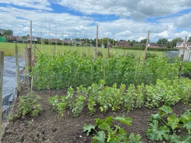 Pebworth Allotments